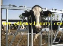 Hot Dip Gal. Cattle Headlocks