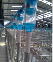 HY Automatic Pig Feeding Equipment