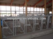 Hot-Galvanization Cattle Headlock