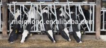 China Cattle Headlock With High Quality & Competitive Price