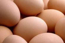 Fresh Poultry Eggs, Brown and White Eggs chicken eggs