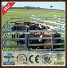 high quality galvanized cattle panel for cattle yard for sale