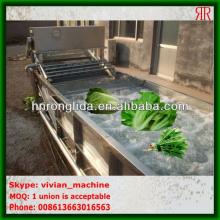 New style!!! High capacity Vegetable bubble washing machine with competitive price
