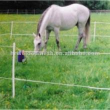 electric horse fence