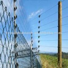 security electric cattle fence