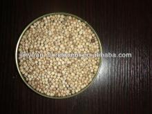 White Pepper for Best Price