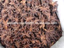 New Crop Dried Star anise seeds