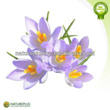 High quality saffron extract weight loss product