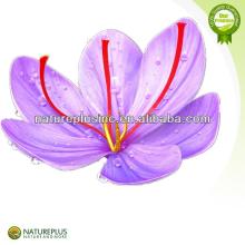 High quality saffron powder extract China manufacturer