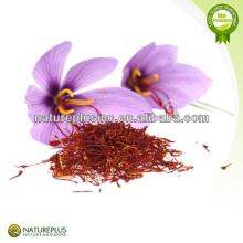 High quality  manufacturers   saffron   extract 