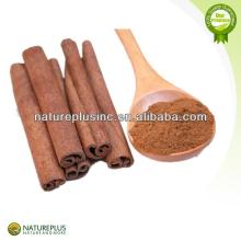 ceylon cinnamon extract powder
