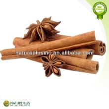 chinese cinnamon extract powder