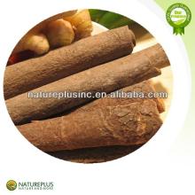 High quality cinnamon extract powder supplier