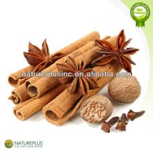 Hot sale  cinnamon   extract   powder  China manufacturer