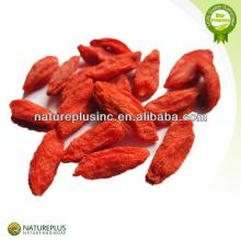 High quality goji berry extract powder supplier