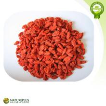 20%~70% polysaccharides goji berry extract powder