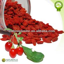 High quality goji berry extract 2014 new factory supply