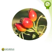 100% Natural plant extract Rose Hips Extract powder/Rosa rugosa Thunb Flavones 1-20% UV/Rose Hip Ext