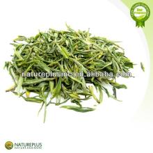 green tea extract powder 95% polyphenols