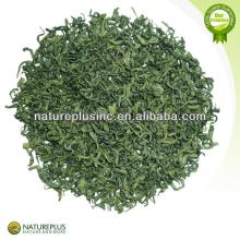 100% natural tea polyphenol powder China manufacturer