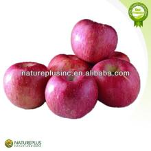 High quality apple tea powder China manufacturer