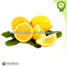 High quality  instant   lemon   tea   powder  China manufacturer