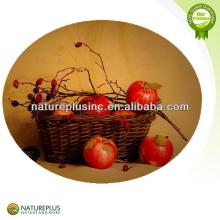 instant apple tea powder