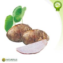 Pure Natural Taro  Powder / Bubble   Tea   Powder 