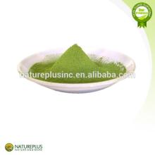 matcha green tea powder/tea polyphenol