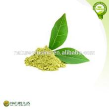 Green Tea Extract,Green Tea polyphenols,Green tea powder