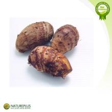 100% Natural  taro   powder / taro  milk tea  powder / taro   flavor   powder 