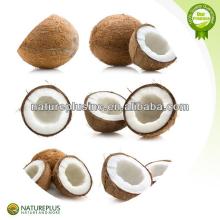 High quality desiccated coconut powder