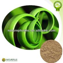  aloe   vera   herbal   extracts 