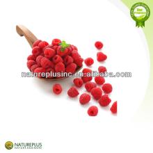 Factory Supply 100% Natural Raspberry Ketone Powder/Raspberry Ketone/Raspberry Ketone Weight Loss