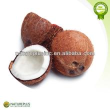 High quality coconut water powder 2014 new factory supply