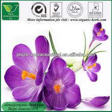 High quality pure Saffron Crocus Extract