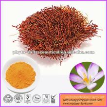 Saffron Extract in Health and Medical