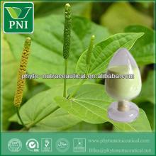 High Quality Black Pepper Piperine Powder
