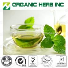 Green tea extract powder 95% polyphenols