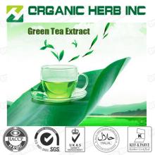 High quality 80% 98% tea polyphenols powder green tea extract bulk