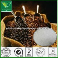 cocoa   theobroma  cacao  extract 