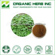 Natural Devils Claw Root Extract Powder