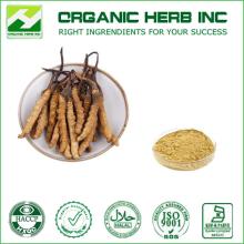 30% 40% 50% Polysaccharides Cordyceps Sinensis Extract