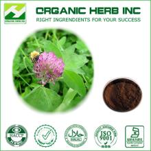 High Purity Red Clover Extract For Isoflavone