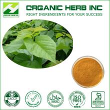 Supplier Manufacturer Natural Mulberry Leaf Extract Deoxynojirimycin