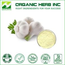Manufacturer High Quality Garlic Extract allicin 10%