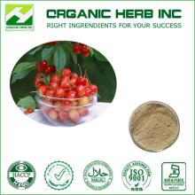 100% Natural  Acerola   Cherry   Extract  Powder for Vitamin C