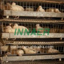 Innaer supply high quality  quail  farm equipment with lowest price(ISO9001 0086-18231821782)
