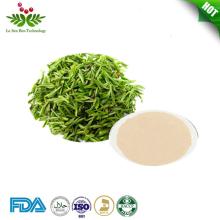 Green  tea   extract   L - Theanine   powder 