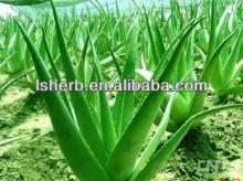 Aloin 20% 40% Aloe Vera Extract